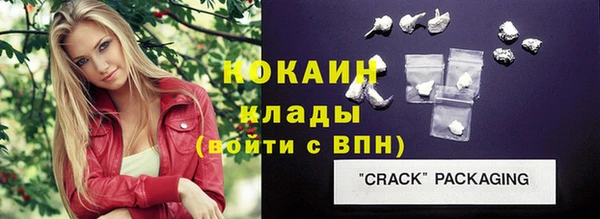 твердый Алексин