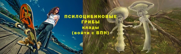 spice Алзамай